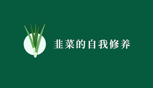 韭菜以太坊,从韭菜到区块链技术深度解析