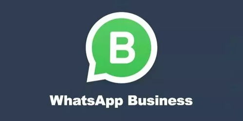 科威特whatsapp区号,揭秘WhatsApp区号背后的文化魅力”