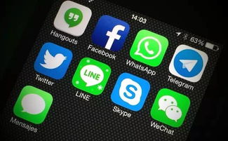 加拿大客户whatsapp,洞察与策略解析