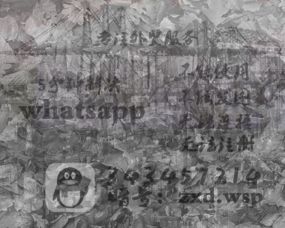 经常上whatsapp的人,解锁社交新境界