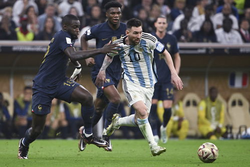 卡塔尔世界杯加密货币,加密货币的全球盛宴与市场新动向