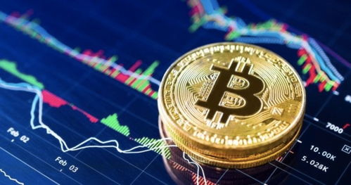 加密货币造富浪潮,加密货币狂潮下的财富神话与风险警示