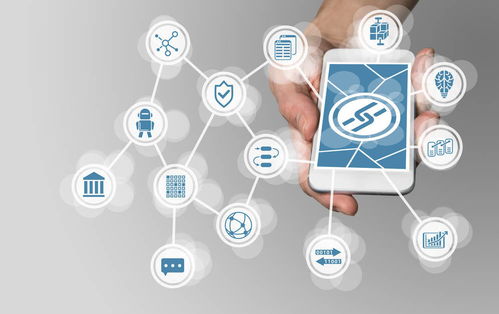 加密数字货币打新平台,财富新机遇的诞生地