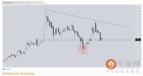 今年十大加密货币排名榜,十大热门币种深度解析