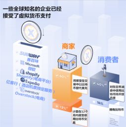 加密货币支付体系包括,加密货币支付体系的构建与运作概述