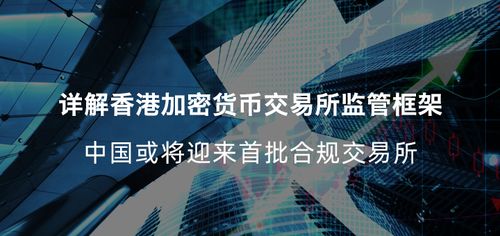 加密交易所数字货币,市场动态与投资指南