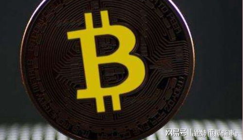 加密货币种类识别,从比特币到新兴分叉币的全面解读