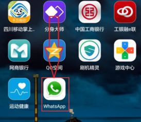 智利whatsapp怎么添加,轻松添加个性化副标题