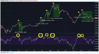 加密货币怎么看rsi的周期,RSI指标周期应用解析