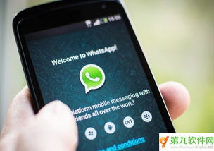 科威特有人使用WhatsApp,科威特居民创新使用WhatsApp提升沟通效率