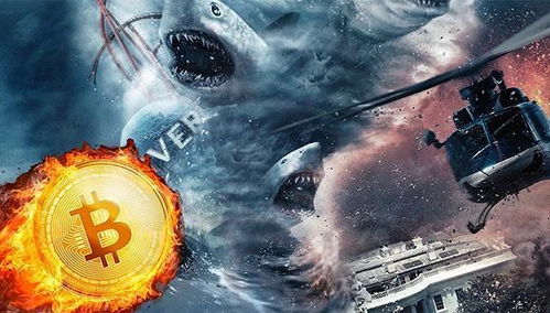 加密货币主题电影,揭秘银幕上的加密货币故事