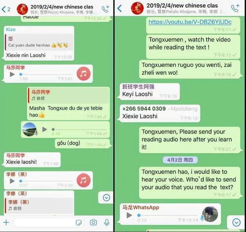 中国人whatsapp,社交新宠儿的崛起与影响