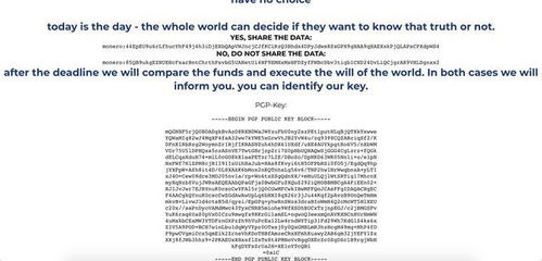 加密货币转账怎么选网络,高效安全转账之道