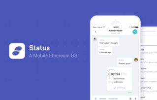 开发以太坊工具与语言,以太坊开发工具与编程语言深度解析