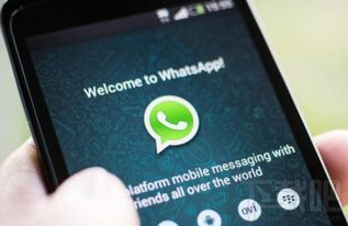 中国为什么屏蔽whatsapp,揭秘中国屏蔽WhatsApp的背后原因