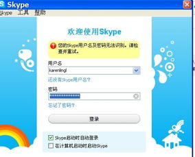 重装系统skype登不上去,重装系统后Skype登录难题解析