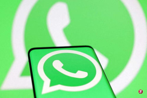 中国whatsapp号,社交新趋势下的沟通利器”