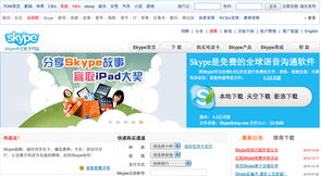 中国禁止skype,网络通信新格局下的政策调整