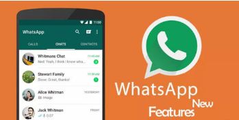 重新下载whatsapp聊天记录,揭秘重新下载WhatsApp聊天记录后的精彩瞬间