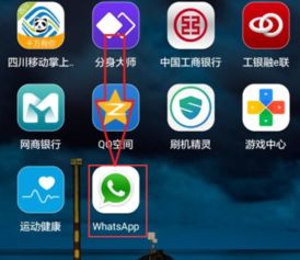 智利whatsapp怎么添加,轻松添加个性化副标题