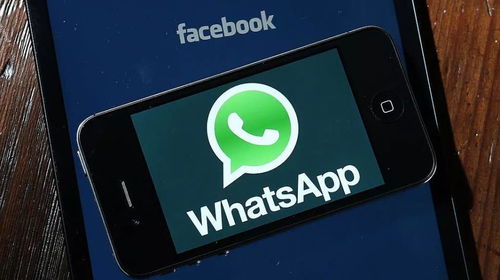 中国大陆如何使用whatsapp,中国大陆用户如何安全便捷地使用WhatsApp