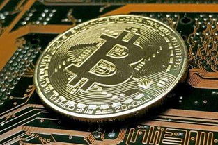 中国能用的加密货币软件,主流平台与交易工具一览