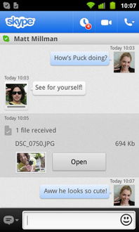 找一个中文教师 skype,Skype助力跨国语言交流