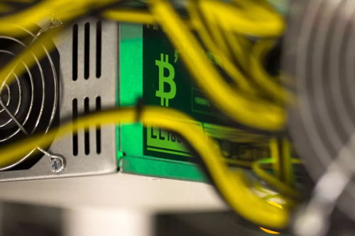 加密货币暴跌动态图片,超百万投资者爆仓”
