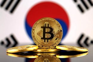 加密货币sui最新消息,开启加密货币新篇章”