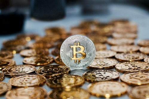 加密货币的垃圾怎么处理,识别、规避与应对策略