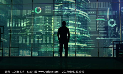 加密货币分析室视频,深度解析市场动态与投资策略