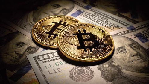加密货币zks,下一代零知识证明加密货币的革新之路