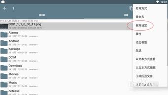 安卓系统设置文件损坏,原因分析及解决方案详解