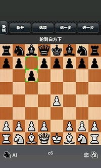 天天国际象棋 
