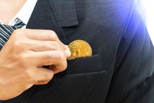 加密货币wl是什么意思,探索其背后的含义与价值