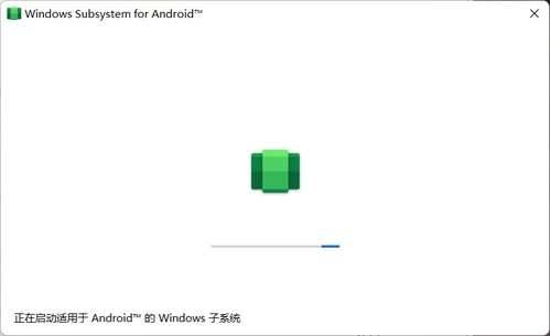 安卓子系统不能安装,为何无法安装应用？
