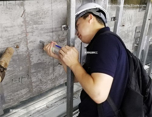 创造我的梦想房屋安卓下载 