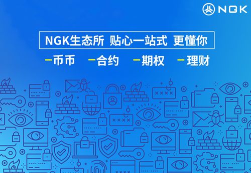加密货币公链开发公司,构建未来金融生态的关键力量