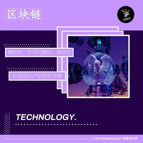 加密货币的歌曲,探索数字货币的黄金时代