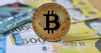 加密货币的支撑机构,构建信任与稳定的力量源泉