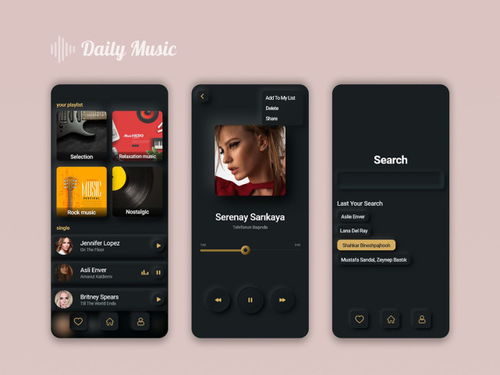 hifi音乐播放器app 