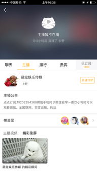 保护狗狗安全 