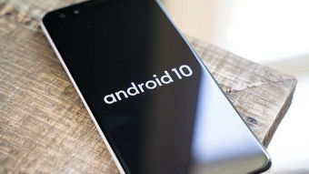 安卓手机系统10以上,Android 10及以上系统新特性深度解析