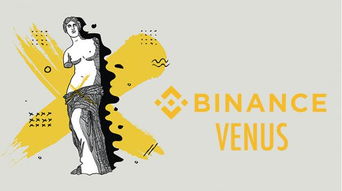 加密货币venus,未来金融革命的先锋力量