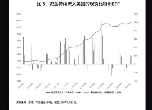 加密货币的经济前景,未来潜力与挑战并存
