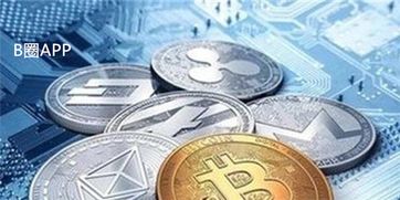 加密货币公司近况,最新发展、挑战与机遇一览