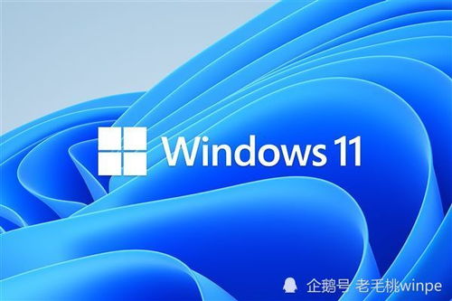 华为平板win系统换安卓系统,华为平板Win系统升级至安卓系统攻略