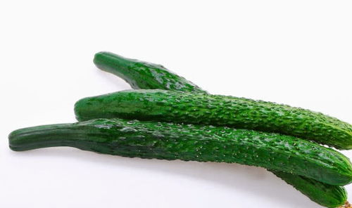 黄瓜小说 