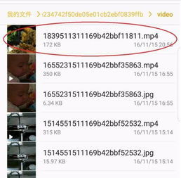 安卓系统微信视频路径,轻松找回珍贵回忆