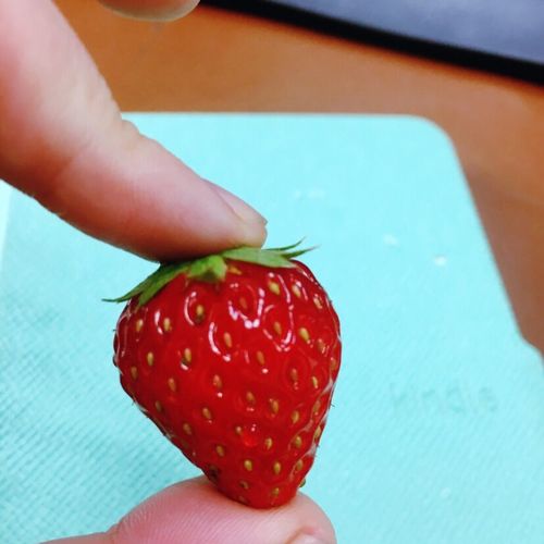 小草莓小说APP 